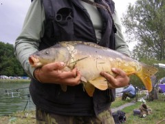Kliknutím fotografii zvětšíte Luhačovice - kapr70cm/6kg