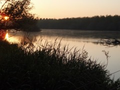 Kliknutím fotografii zvětšíte Kapr