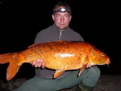 Kliknutím fotografii zvětšíte Kapr 81cm 10,5 kg