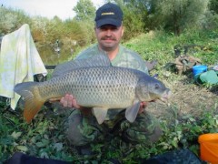 Kliknutím fotografii zvětšíte Řeka-72cm 6,2kg