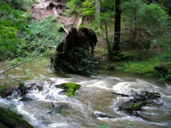 Kliknutím fotografii zvětšíte Říčka Stropnice po velkých přívalech vody