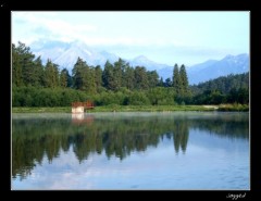 VN Zlatn�