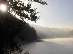 Kliknutím fotografii zvětšíte celkem kosa