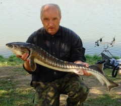 Kliknutím fotografii zvětšíte Jeseter hvězdnatý