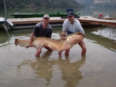 Kliknutím fotografii zvětšíte 222 cm, 69 kg
