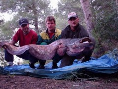Kliknutím fotografii zvětšíte 182 cm, 37 kg
