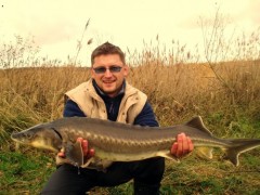 Kliknutím fotografii zvětšíte Něco okolo stodvaceti, kříženec sibiřáka a rusáka...