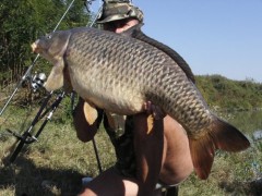 Kliknutím fotografii zvětšíte Kapr 27kg, 107cm