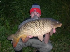 Kliknutím fotografii zvětšíte Kapr 81cm -10kg