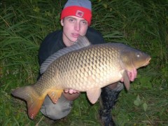 Kliknutím fotografii zvětšíte Kapr 81cm - 10kg