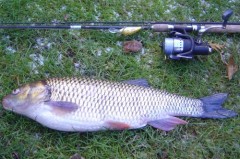 Kr�sn� tlou�� 54 cm-2,8 kg.