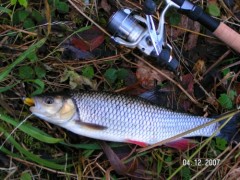 tlou�t�k