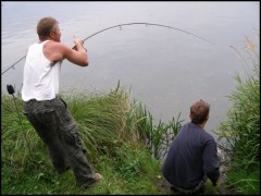 Kliknutím fotografii zvětšíte Platium 2,75lbs v akci