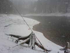 Kliknutím fotografii zvětšíte Dalešická 11.11.2007