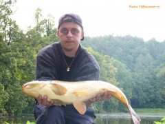 Kliknutím fotografii zvětšíte pěknej macík