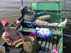 Kliknutím fotografii zvětšíte kdyz neberou