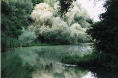 Kliknutím fotografii zvětšíte Obtokové rameno Váhu,SK