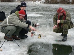 Kliknutím fotografii zvětšíte Nedaleko Brna 12.1.2008