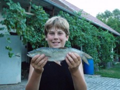 Kliknutím fotografii zvětšíte bolen