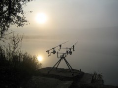 Kliknutím fotografii zvětšíte Ráno