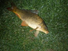 krasnej kap��k 