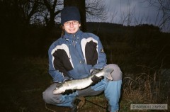 Kliknutím fotografii zvětšíte Candát 53 cm