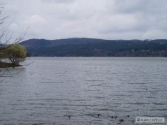 Kliknutím fotografii zvětšíte Svratka 5