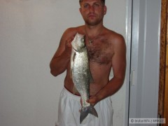 Bole� 63 cm/ 3,3 kg,leto/2006