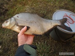 Kliknutím fotografii zvětšíte Ohře 47cm.
