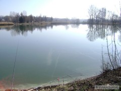 Kliknutím fotografii zvětšíte Holásky 24.02.08