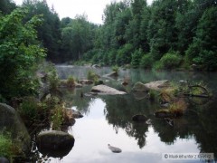 Kliknutím fotografii zvětšíte Vltava 27