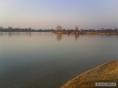 Kliknutím fotografii zvětšíte Skora jar (24.02.2008)