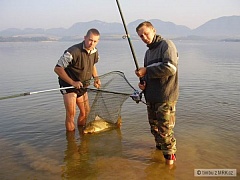 Kliknutím fotografii zvětšíte Kapor 10kg z L.M.