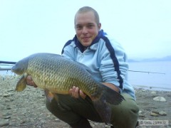 Kliknutím fotografii zvětšíte Kapor 7,5kg z L.M.