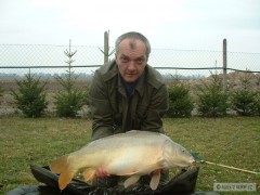 Kliknutím fotografii zvětšíte Kapor obecný-lysec 77cm - 9kg