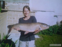Kliknutím fotografii zvětšíte Amur 87cm