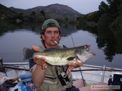 Black bass