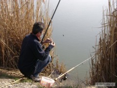 Kliknutím fotografii zvětšíte ..rohlik 2008