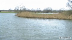 Kliknutím fotografii zvětšíte Temza 2008