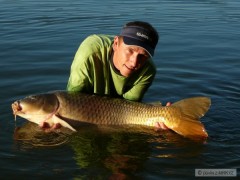 kapr �upi 20kg