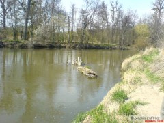 Kliknutím fotografii zvětšíte