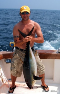 Kliknutím fotografii zvětšíte Yellow fin Tuna