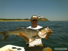 Kliknutím fotografii zvětšíte Stripper bass na Montauk, Long Island