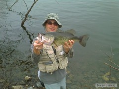 Kliknutím fotografii zvětšíte Largemouth Bass, Mahopac, NY