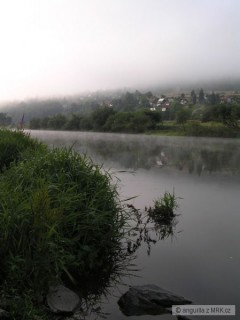 Kliknutím fotografii zvětšíte ráno na Berounce