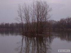 Kliknutím fotografii zvětšíte Antosovice