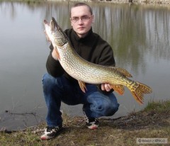 Kliknutím fotografii zvětšíte 4kg , ripper 8cm