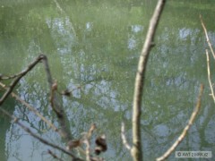 Kliknutím fotografii zvětšíte ..uz prichadzaju..
