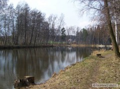 Kliknutím fotografii zvětšíte Krčmařík