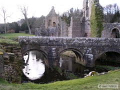 Kliknutím fotografii zvětšíte Fountains abbey